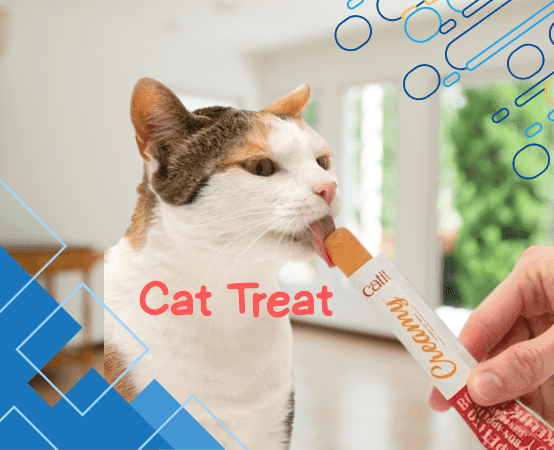 cat treat category