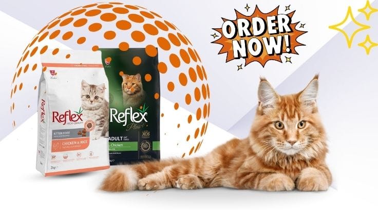 reflex & reflex plus banner