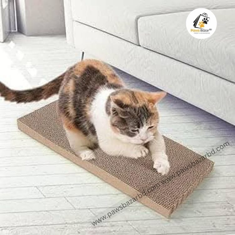 Large Size Regular Cat Scratcher Board for Scratching