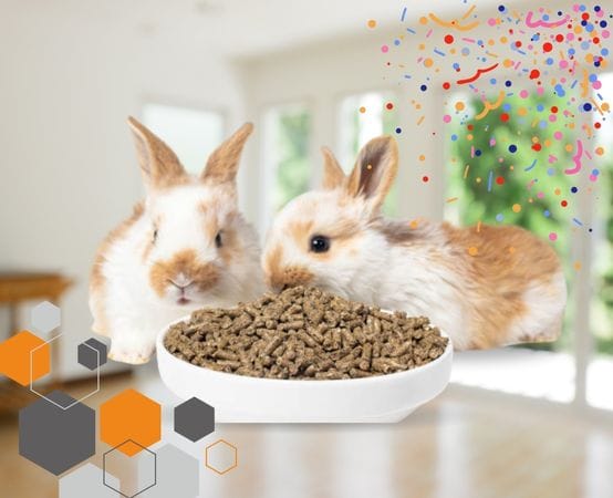 rabbit food price in bd