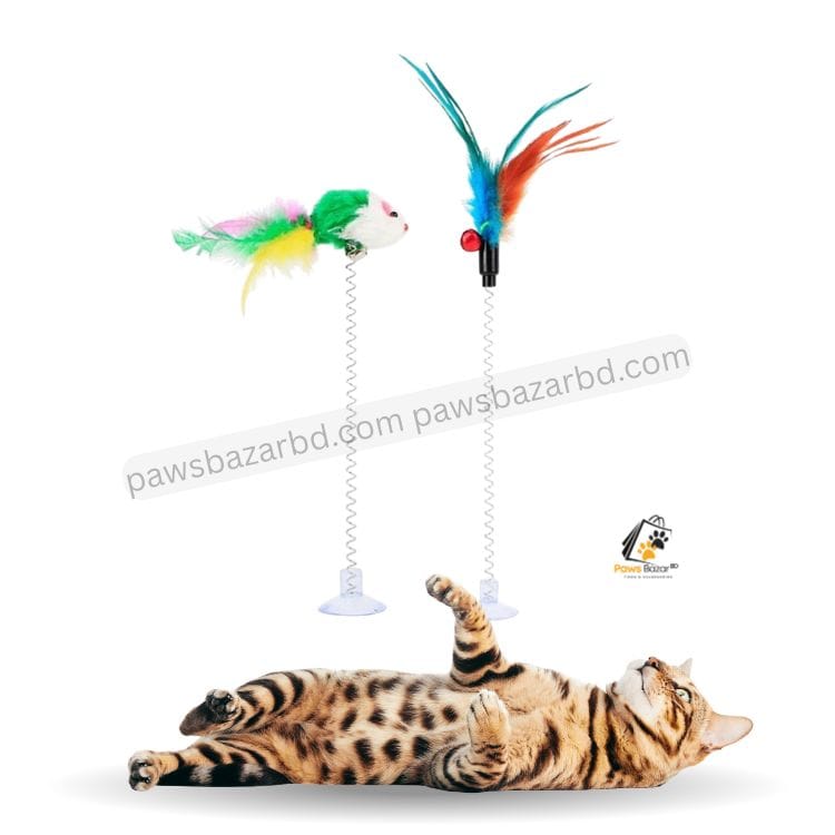 Cat spring toy with mouse