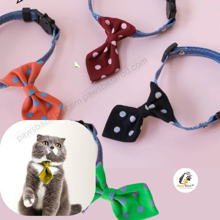 Cat stylish gents tie collar